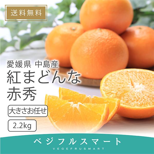 紅まどんな 贈答用 赤秀 愛媛県産 みかん お歳暮 大きさお任せ 2.2kg 送料無料