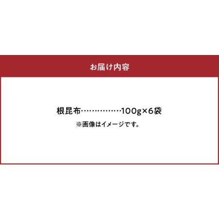 ふるさと納税 根昆布　100g×6袋_H0007-020 北海道浜中町