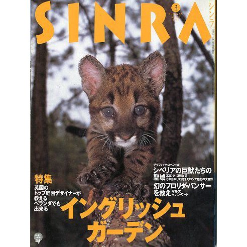 ＳＩＮＲＡ（シンラ）　　１９９６年３月　　＜送料無料・指定日お届け不可＞