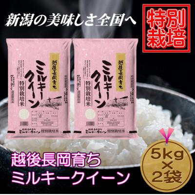 ふるさと納税 新潟県 令和5年産 新潟県長岡産ミルキークイーン10kg(5kg×2袋)