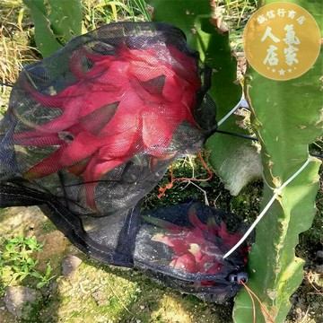 紗網袋 水果套袋 防蟲網 火龍果套袋套果袋葡萄套袋水果套袋防果蠅防蟲防鳥袋尼龍網袋