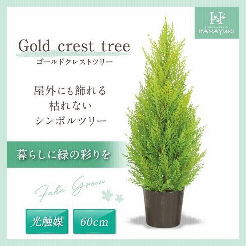 人工観葉植物 光触媒加工 ゴールドクレストツリー 60cm フェイクグリーン 光触媒 ツリー インテリア 人工樹木 植物 おしゃれ クリスマスツリー Hanayuki 通販 Lineポイント最大0 5 Get Lineショッピング