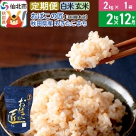 《定期便12ヶ月》令和5年産 仙北市産 おばこの匠 2kg×12回 計24kg 12か月 12ヵ月 12カ月 12ケ月 秋田こまち お米 秋田県産あきたこまち