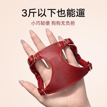 狗狗牽引繩小型犬胸背帶背心式幼犬茶杯小體泰迪博美法斗遛狗繩子
