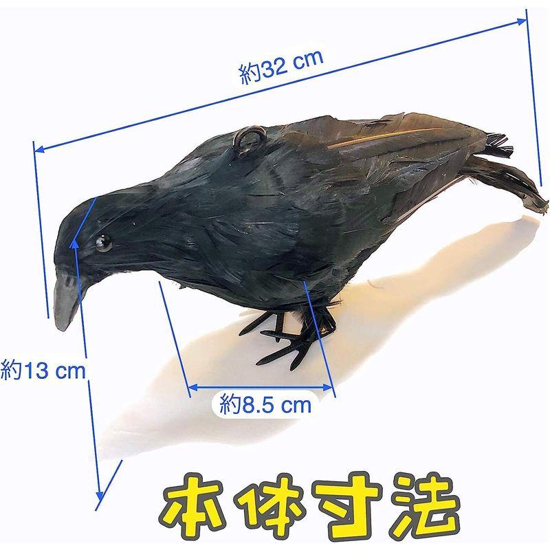 ONESORA カラスよけ 鳩よけ 本物そっくり リアル羽毛カラス 小振りサイズ 2羽 ぶら下げて吊るすだけ カラス撃退