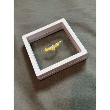 【TACKSTHGOOD】日本購入 全新 正品 菊地健 3cm 銀頭金鷹 老鷹 銀飾 墜飾
