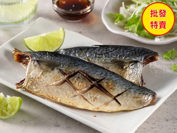 批發價--台灣薄鹽鯖魚50入