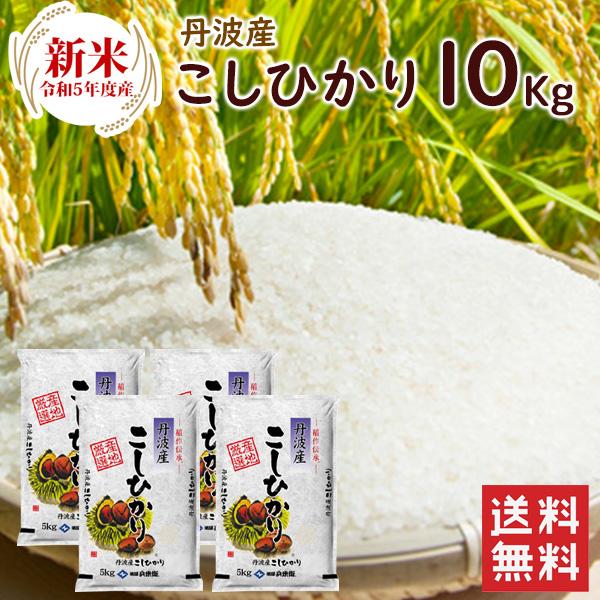 新米 丹波産（兵庫県）コシヒカリ20kg（5kg×4袋）  送料無料 令和5年産 精米 お米 米 丹波産  兵庫県産 （北海道・沖縄別途送料）（配達日・時間指定は不可）