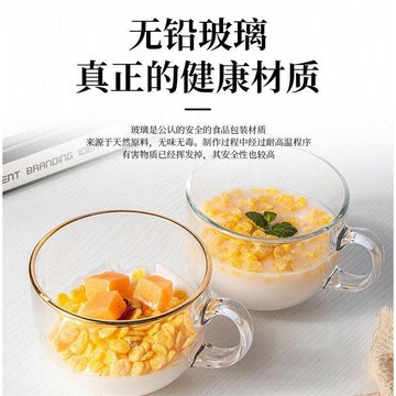 2件套北歐茶色玻璃燕麥早餐杯家用耐熱大容量牛奶杯帶蓋勺馬克杯