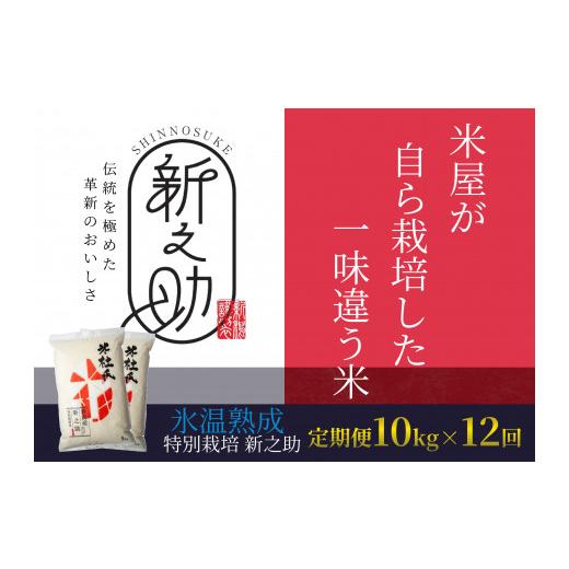 ふるさと納税 新潟県 阿賀野市  12ヶ月定期便 特別栽培米 新之助 10kg (5kg×2袋)×12回 米杜氏 壱成 氷温熟成 白米 精米 大粒 つや 光沢 弾力 芳醇 1…