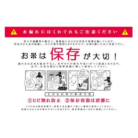 ふるさと納税 令和5年産九州のこだわり「ひのひかり」玄米10kg 長崎県諫早市