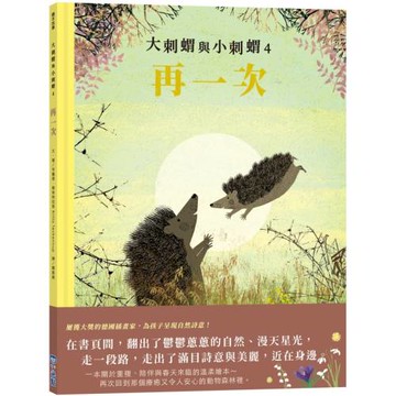 大刺蝟與小刺蝟4：再一次