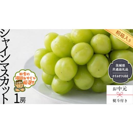 ふるさと納税 茨城県 つくばみらい市 シャインマスカット1房  （県内共通返礼品：かすみがうら…