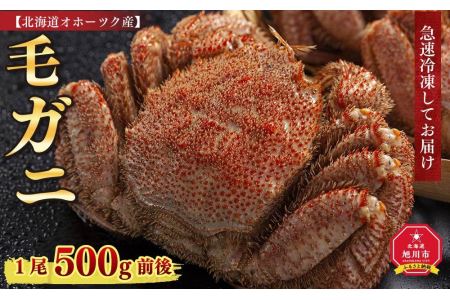 北海道オホーツク産　毛ガニ　1尾　500ｇ前後