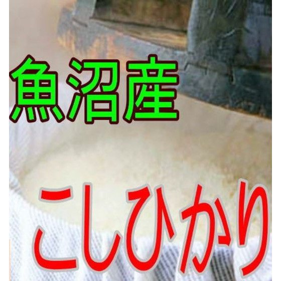 新米 白米 魚沼産こしひかり 5kg 令和5年産 新潟県産