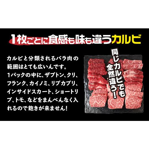 ふるさと納税 鹿児島県 南九州市 084-08 鹿児島県産黒毛和牛焼肉カルビ 400g