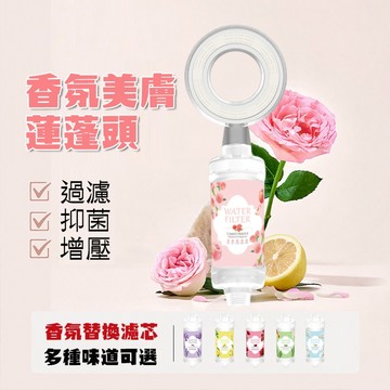 【快速出貨】過濾蓮蓬頭 香氛濾芯 香氛過濾器 除氯濾芯 濾芯 淋浴過濾花灑 蓮蓬頭濾芯 沐浴過濾器