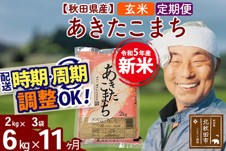 《定期便11ヶ月》＜新米＞秋田県産 あきたこまち 6kg(2kg小分け袋) 令和5年産 配送時期選べる 隔月お届けOK お米 おおもり