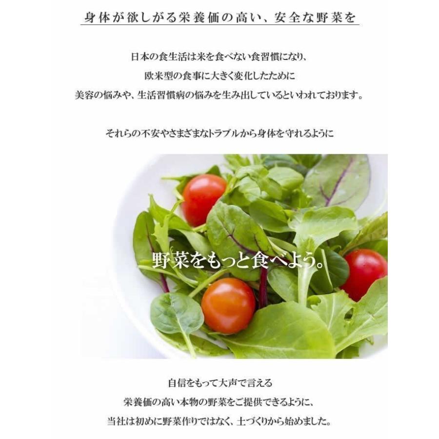 食品 お試し旬の野菜＆加工食材 詰合せセット Mセット８〜９種類 ２〜４人向き 宅配サービス 送料無料