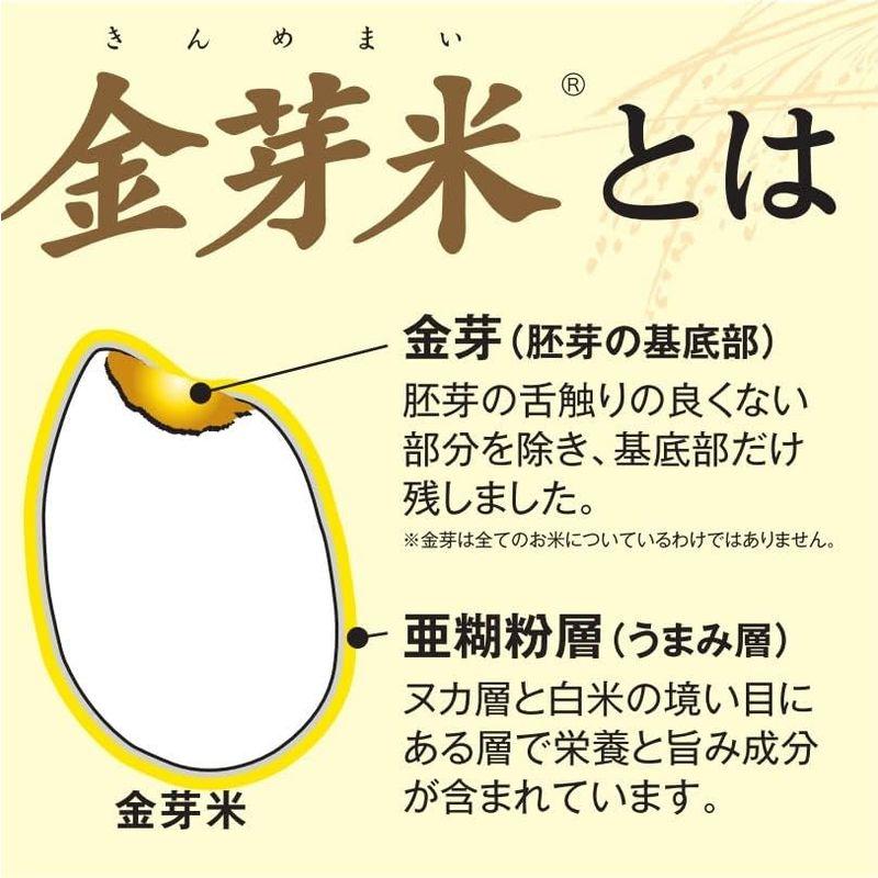 精米岐阜県産 金芽米無洗米 はつしも 5kg令和4年