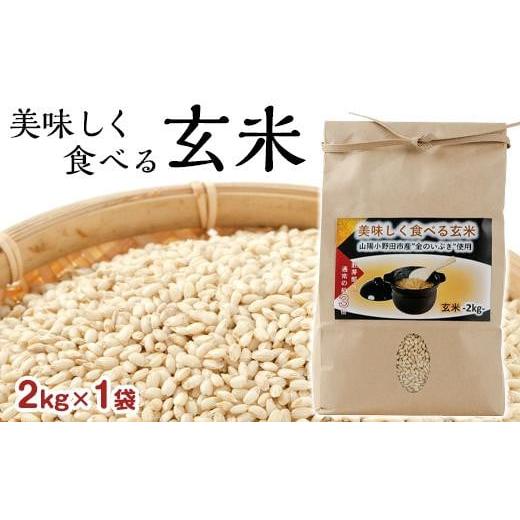 ふるさと納税 山口県 山陽小野田市 美味しく食べる玄米2kg　※2023年12月上旬発送開始予定※