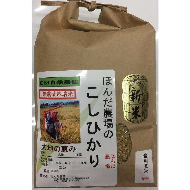 令和5年産 新米 無農薬栽培米 こしひかり 玄米 2kg お米  自然農法  「大地の恵」