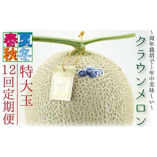 ふるさと納税 静岡県 袋井市 クラウンメロン 特大玉 1玉 定期便12ヶ月 メロン 人気 厳選 贈り物 デザート グルメ 袋井市