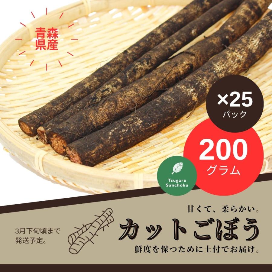 青森県産 ごぼう200g×25P(5キロ) 土付カット 南部町 柳川理想 津軽産直組合 令和5年産