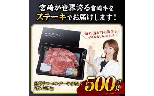 ５等級！宮崎牛ロースステーキ500g 肉 牛 牛肉 国産 黒毛和牛 [E0613]