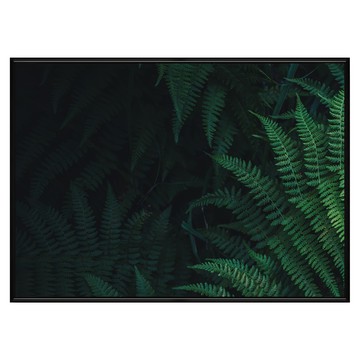 菠蘿選畫所 仲夏的交響曲I  30 x 40cm  黑框