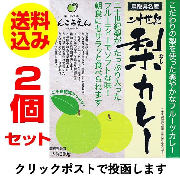 メール便対応　鳥取県二十世紀梨のカレー 二十世紀梨カレー 2個セット 送料無料