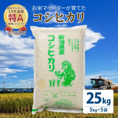 ふるさと納税 上越市 令和5年産 お米マイスターが育てた上越産コシヒカリ25kg( 5kg×5)白米　精米