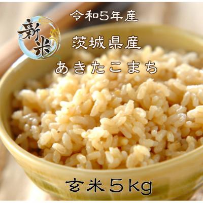 ふるさと納税 行方市 新米 茨城県行方市 あきたこまち 玄米 5kg