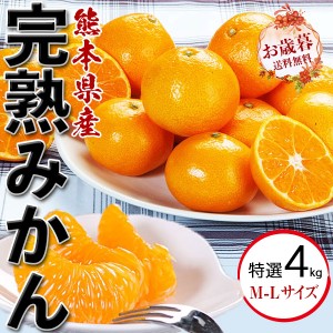 みかん 特選 完熟みかん 4.5kg 熊本県産 贈答用 ギフト ミカン 蜜柑 約35-45…