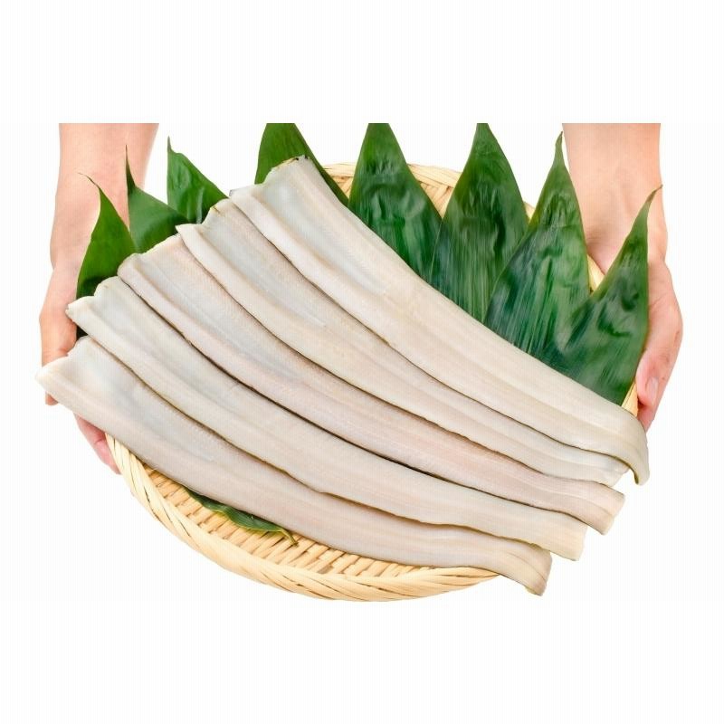 アナゴホルダー一回使用品