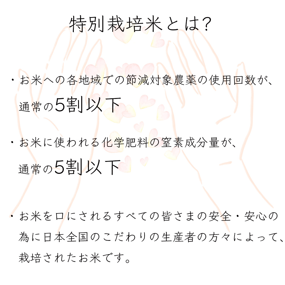 新米 米 30kg お米 玄米（5kg×真空パック6袋）減農薬 特別栽培米  夢ごこち 滋賀県産 令和5年産 精米無料 真空パック無料 送料無料