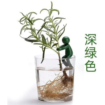 ⭐️優選好貨⭐️ 水培植物扶正伴侶固定魚缸辦公裝飾理綫園藝神器水培花架花幾