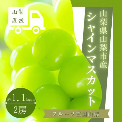 ふるさと納税 山梨市 山梨県山梨市産 シャインマスカット 2房 1.1kg以上