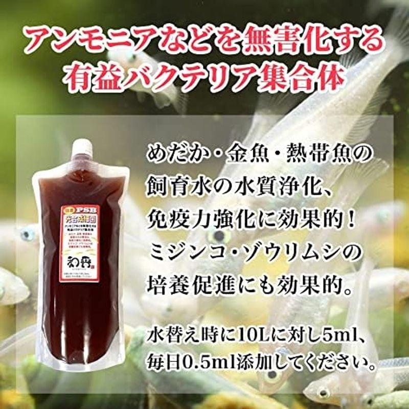 和香 PSB 光合成細菌 5000ml 高濃度 の純粋な バクテリア で 水質浄化 ...