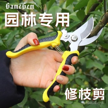 【園藝專用】修枝剪 不銹鋼剪刀 家用省力修花 修剪果樹 摘果樹 園藝剪 園藝剪刀 樹枝剪 高枝剪 電動剪刀