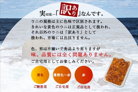 1260.訳あり うに チリ産 冷凍 鱒 いくら 醤油漬け ウニ100g マスいくら 100g 雲丹 不揃い うに わけ あり 海鮮 丼 海鮮丼 刺身 うに丼 いくら丼 魚卵 自宅用 送料無料 北海道 弟子屈町