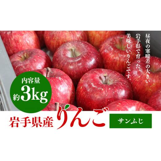 ふるさと納税 岩手県 盛岡市 ふじむら農園の盛岡りんご『サンふじ』約3kg（ご家庭用）