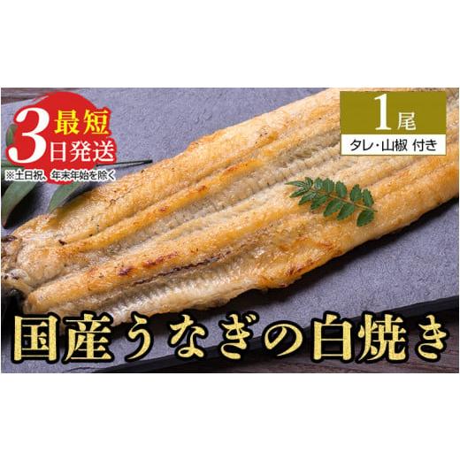 ふるさと納税 茨城県 土浦市 うなぎ白焼き　1尾（120g以上×1尾） メディアに紹介されたうなぎ屋 国産 冷蔵 うなぎ 鰻 ウナギ タレ・山椒つき しら焼き※着…