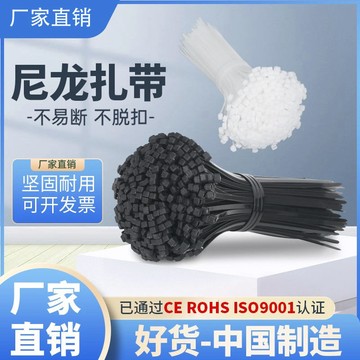 購滿199出貨 🔧五金工具🔧自鎖式尼龍紮帶 卡扣固定束 線理線器 捆綁帶 步步緊勒死狗 扎繩 塑料條
