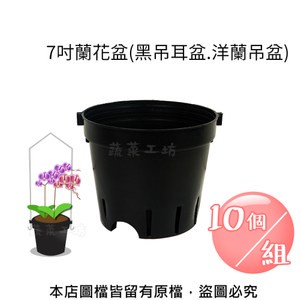 7吋蘭花盆(黑吊耳盆.洋蘭吊盆)10個/組