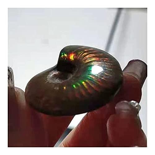 douzu Healing Crystal Madagascar Natural Iridescent Ammonite Ammolite Facet Specimen Mineral Stone Conch Paleontological Snail Fossil Collectible