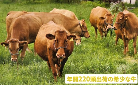 鍋セット はこだて和牛 牛鍋 計1.8kg ご褒美セット 和牛 鍋 あか牛 牛肉 小分け 北海道