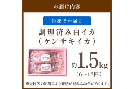 イカ・イカ焼き用「冷凍」／BBQに最適！ 白イカ（ケンサキイカ） 調理済み 正味1.5kg（6～12匹） ※小分け真空包装 イカ焼き・イカのツボ抜き