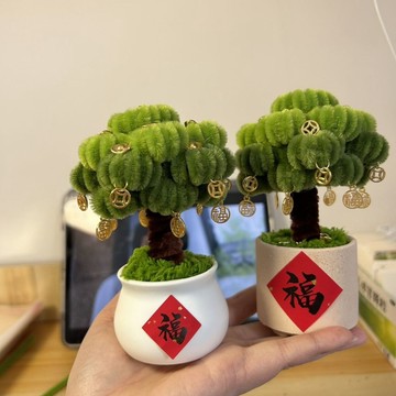 【發財樹DIY盆栽】手工創意擺件 搖錢樹盆栽 diy手工 母親節禮物 桌面可愛 盆栽 創意禮物 擺飾 植栽 手作材料包