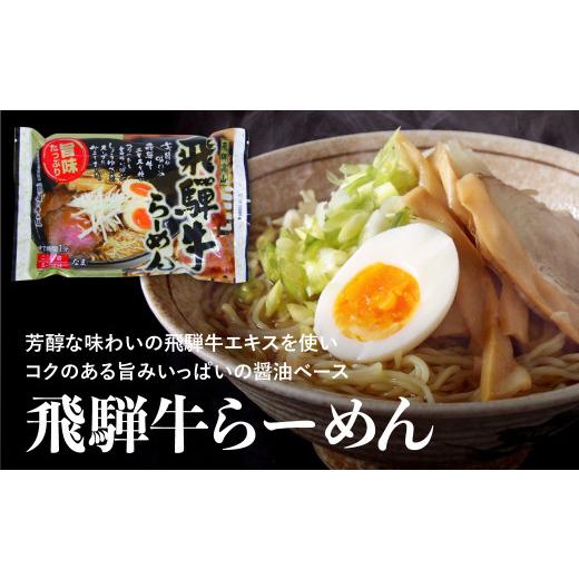 ふるさと納税 岐阜県 飛騨市 熟成ビーフカレー８食＆飛騨牛ラーメン６食セット